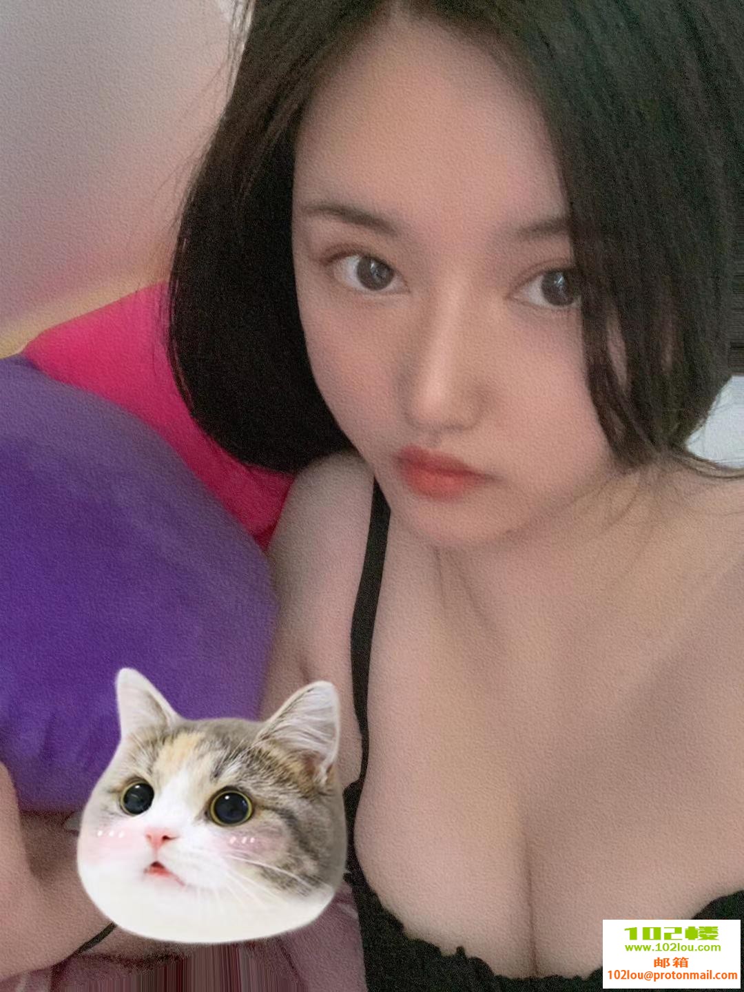 150249yz9y9z9o8py4pptb.jpg